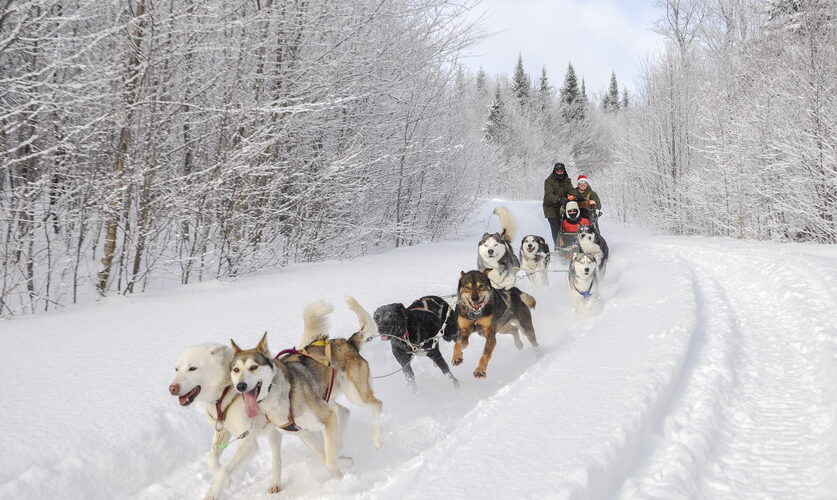 4cab68a26ae69d55cf7d419adff1d321